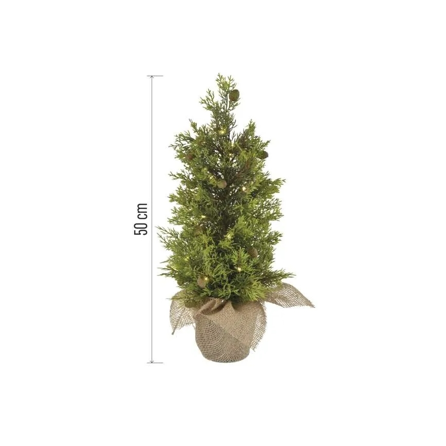 LED jõulukaunistus 30xLED/3xAA IP44