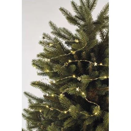 LED jõulukett 20xLED/2xAA 2,2 m soe valge