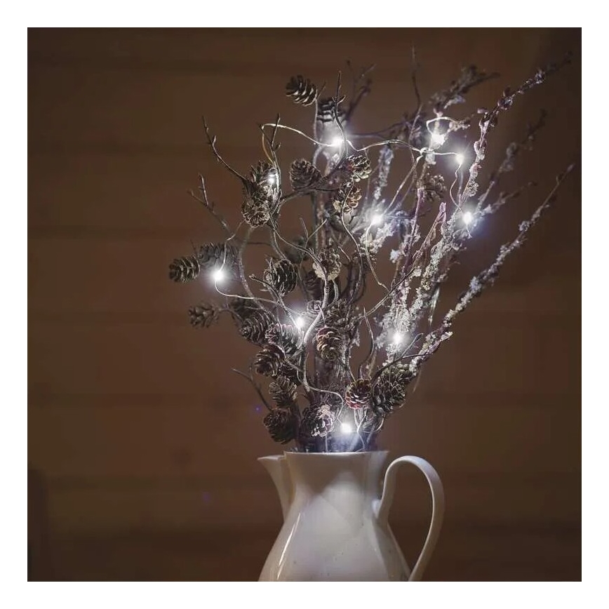 LED Jõuluteemaline valguskett 20xLED/2xAA 2,4m külm valge