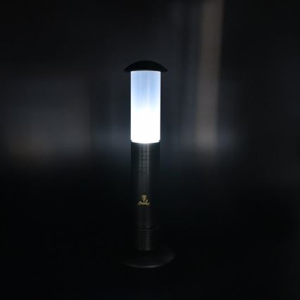 LED Kaasaskantav lamp 2xLED/1xD IPX4