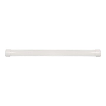 LED Kapialune valgusti kööki LED/40W/230V 4000K 116 cm