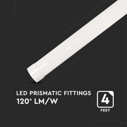 LED Kapialune valgusti kööki LED/40W/230V 6500K 116 cm