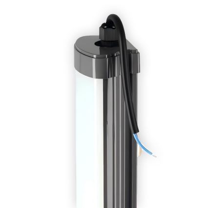 LED Kapialune valgusti kööki LED/60W/230V 6000K 120 cm IP65 must