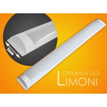 LED Kapialune valgusti kööki LIMONI LED/40W/230V 3000K 120 cm