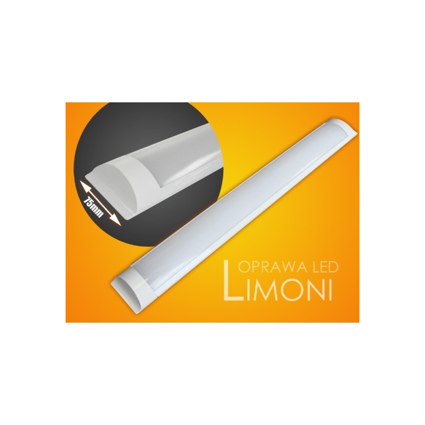 LED Kapialune valgusti kööki LIMONI LED/40W/230V 3000K 120 cm