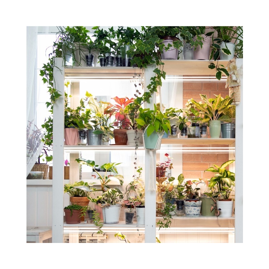 LED Kapialune valgusti kööki taimede kasvatamiseks GROWLY 2xLED/8,5W/230V valge