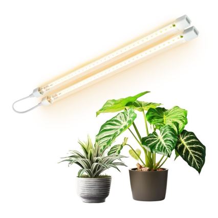 LED Kapialune valgusti kööki taimede kasvatamiseks GROWLY 2xLED/8,5W/230V valge