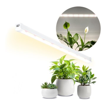 LED Kapialune valgusti kööki taimede kasvatamiseks GROWLY LED/15W/230W