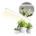 LED Kapialune valgusti kööki taimede kasvatamiseks GROWLY LED/15W/230W