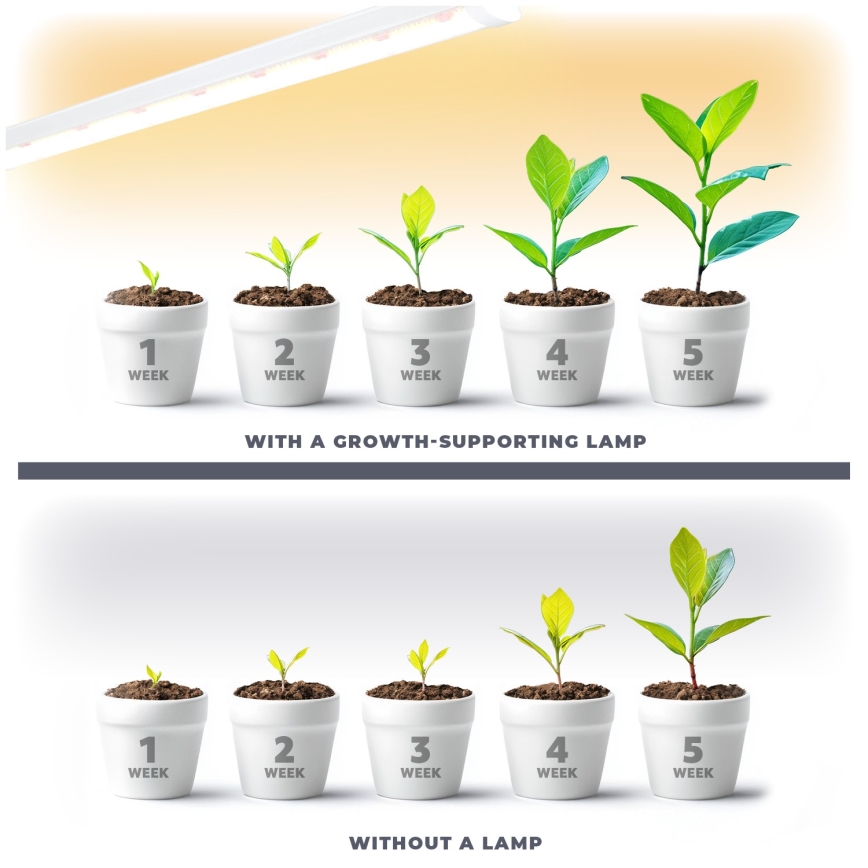 LED Kapialune valgusti kööki taimede kasvatamiseks GROWLY LED/15W/230W