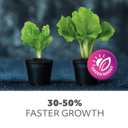LED Kapialune valgusti kööki taimede kasvatamiseks GROWLY LED/15W/230W