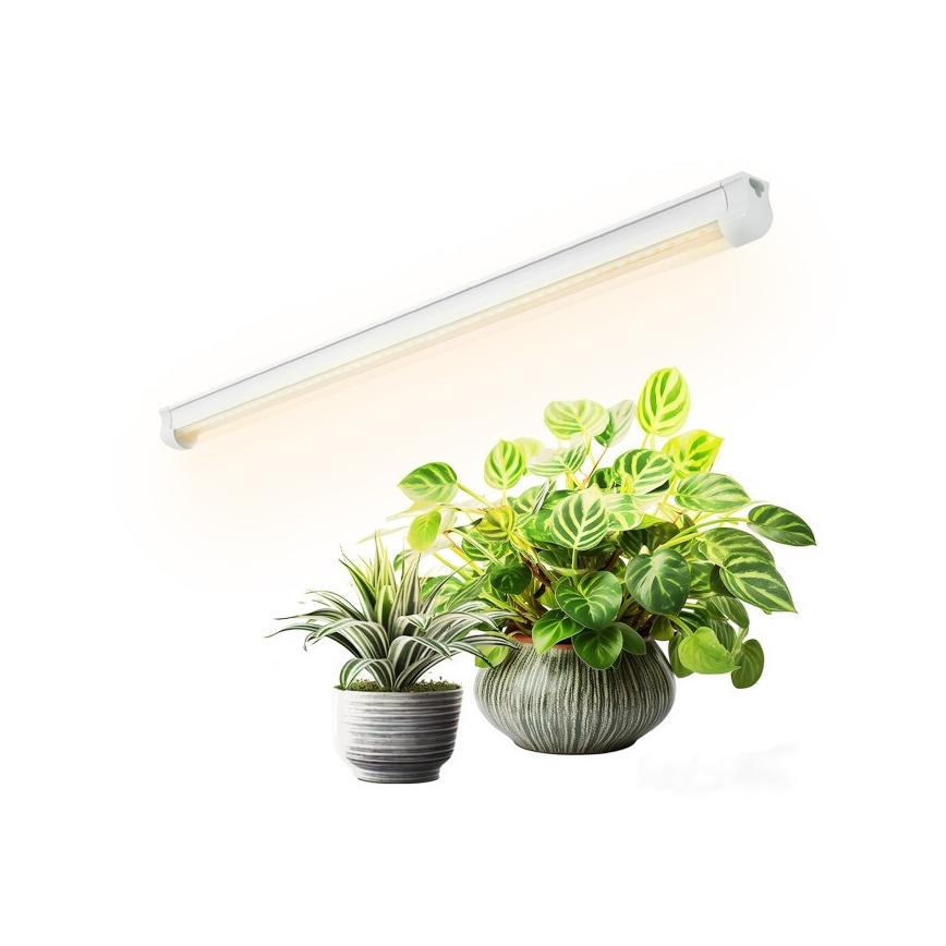LED Kapialune valgusti kööki taimede kasvatamiseks GROWLY LED/9W/230V valge