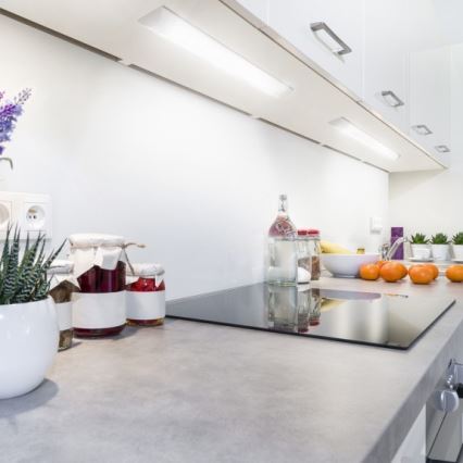 LED kapialune valgusti VIGA LED/14W/230V 4000K valge