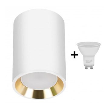 LED Kohtvalgusti CHLOE 1xGU10/6W/230V ümmargune valge/kuldne