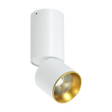 LED-kohtvalgusti lakke LED/10W/230V