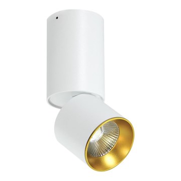 LED-kohtvalgusti lakke LED/10W/230V