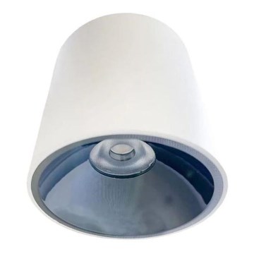 LED Kohtvalgusti LED/12W/230V 4000K d. 8 cm valge