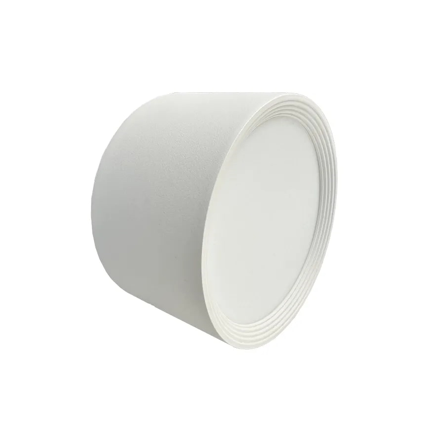 LED Kohtvalgusti LED/14W/230V 4000K d. 12 cm valge
