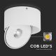 LED Paindlik Kohtvalgusti LED/20W/230V 3000/4000/6400K CRI 90 valge