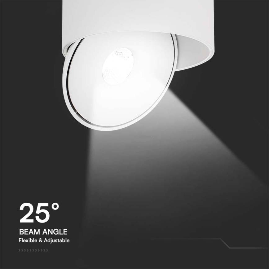 LED Paindlik Kohtvalgusti LED/28W/230V 3000/4000/6400K CRI 90 valge