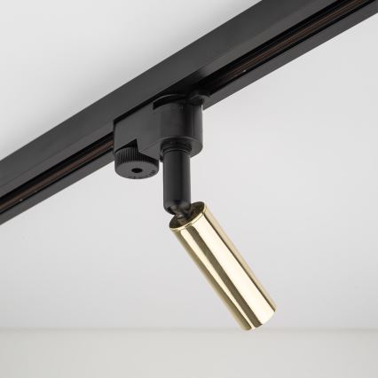 LED Kohtvalgusti ühefaasilise rööbassüsteemi jaoks LAGOS 1xG9/3W/230V kuldne/must