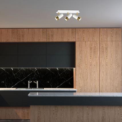 LED Kohtvalgusti seinale DANI 3xGU10/8W/230V