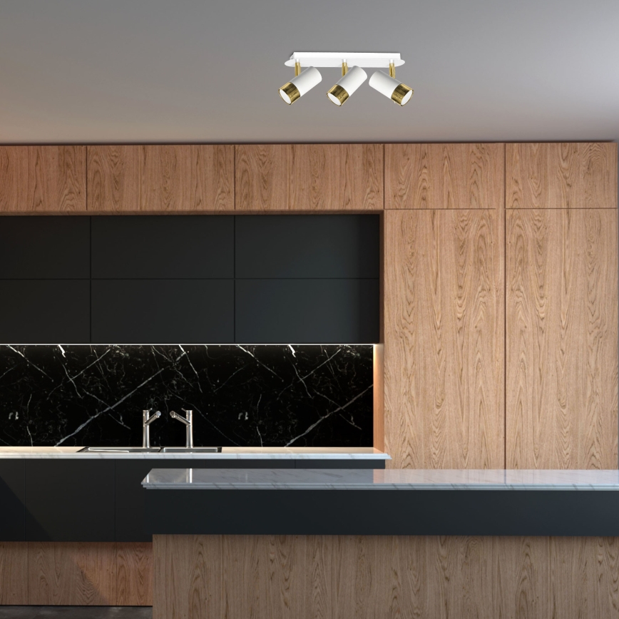 LED Kohtvalgusti seinale DANI 3xGU10/8W/230V