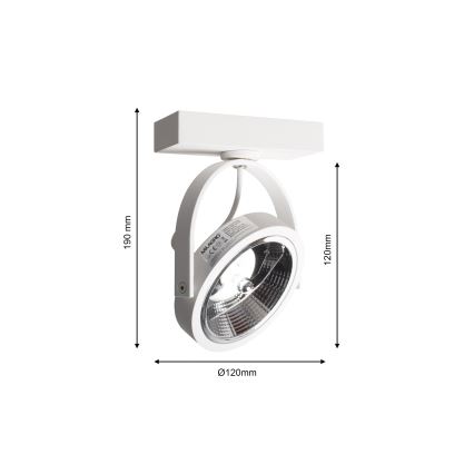 LED Kohtvalgusti seinale LUGAR 1xAR111 - GU10/25W/230V
