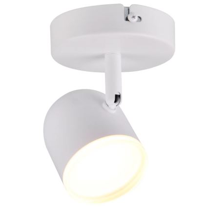 LED Kohtvalgusti seinale RAWI LED/4,2W/230V valge