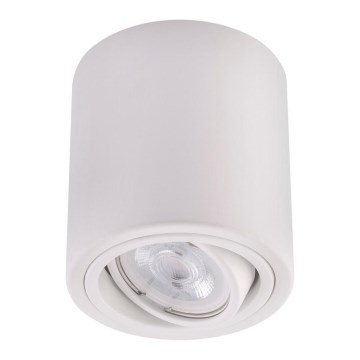 LED Kohtvalgusti TUBA 1xGU10/5W/230V 2700K valge