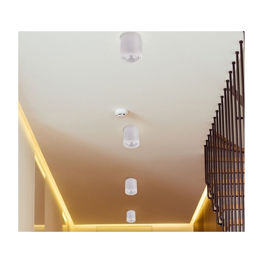 LED Kohtvalgusti TUBA 1xGU10/5W/230V 2700K valge