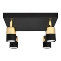 LED Kohtvalgusti TUBSSON 4xGU10/4,8W/230V must/kuldne