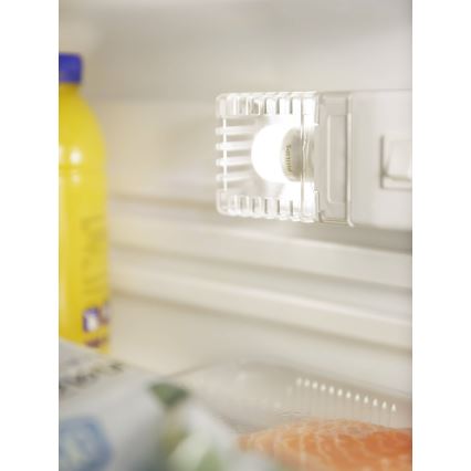 LED Külmkapi pirn Philips E14/3,2W/230V 2700K