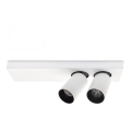 LED lae-kohtvalgusti BERGEN 2xLED/11W/230V