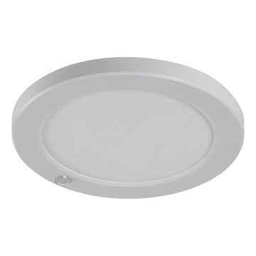 LED Lae-/süvistatav valgusti liikumisanduriga 2in1 ERGA LED/17W/230V 3000/4000/6500K valge
