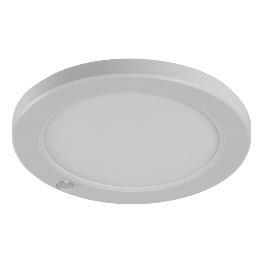 LED Lae-/süvistatav valgusti liikumisanduriga 2in1 ERGA LED/17W/230V 3000/4000/6500K valge