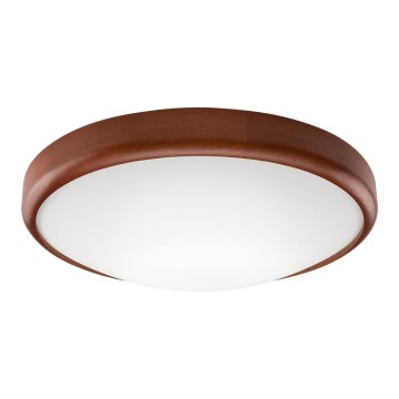 LED laelamp 1xLED/24W/230V