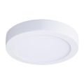 LED laelamp 24 W / 230 V / 3000/4000/6000 K, läbimõõt 30 cm, valge