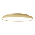 LED laelamp ART LED/21W/230V kuldne