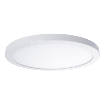 LED laelamp EVORA, 24 W / 230 V, 3000/4000/6000 K, läbimõõt 30 cm, valge