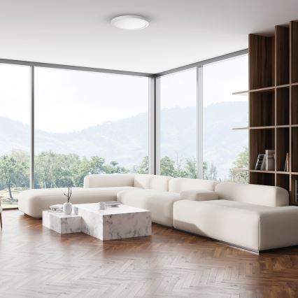 LED laelamp EVORA, 24 W / 230 V, 3000/4000/6000 K, läbimõõt 30 cm, valge