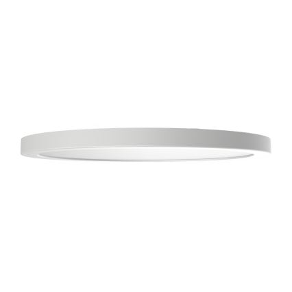 LED laelamp EVORA, 24 W / 230 V, 3000/4000/6000 K, läbimõõt 30 cm, valge