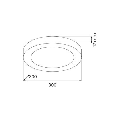 LED laelamp EVORA, 24 W / 230 V, 3000/4000/6000 K, läbimõõt 30 cm, valge