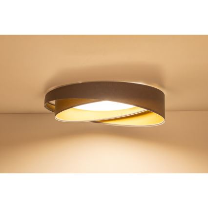 LED laelamp GALAXY MODERN, 24 W, 230 V, läbimõõt 55 cm, hall/kuldne
