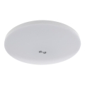 LED laelamp hämaruse- ja liikumisanduriga MORETTI LED/24W/230V läbimõõt 30 cm IP40 6500K