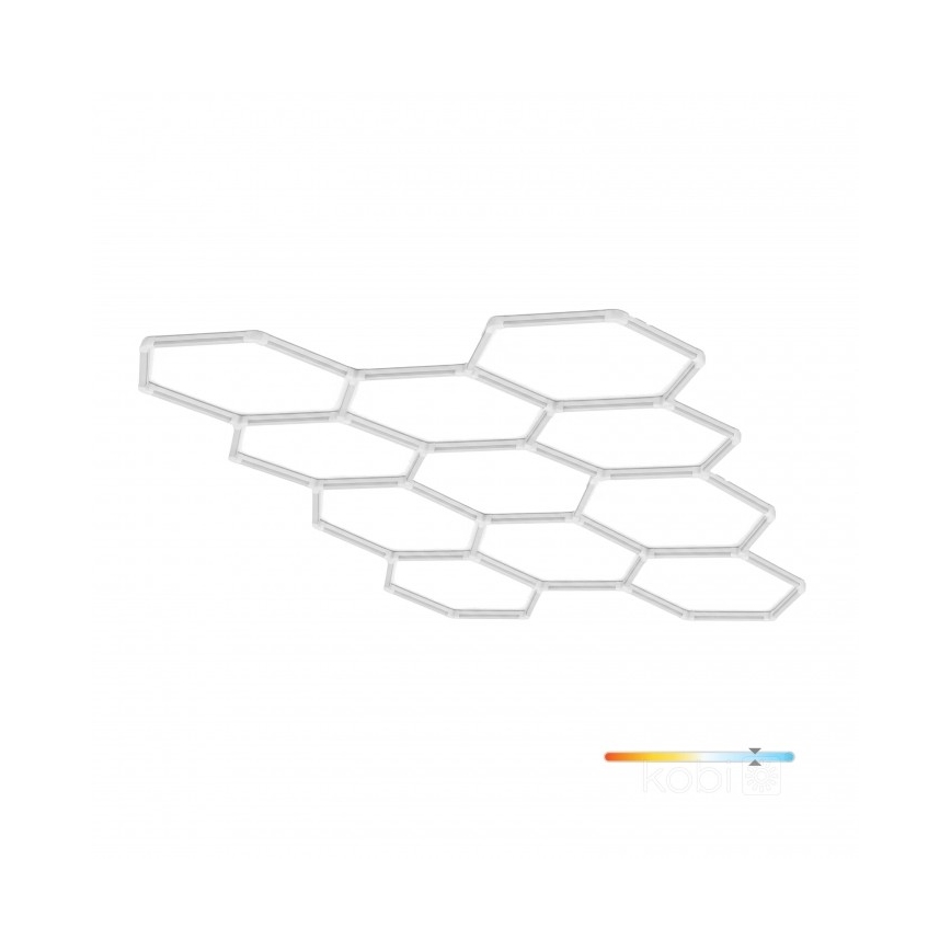 LED laelamp HEXLINE LED/513W/230V 6500K 300x516 cm valge
