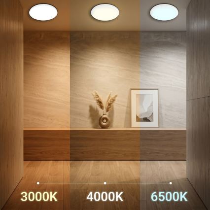 LED laelamp HUGO 12/18/24W, 230V, 3000/4000/6500K, läbimõõt 30 cm, IP54, valge