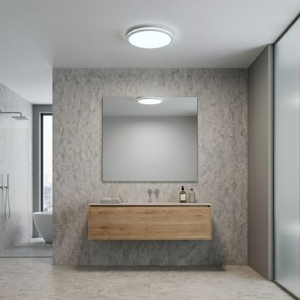 LED laelamp HUGO 12/18/24W, 230V, 3000/4000/6500K, läbimõõt 30 cm, IP54, valge