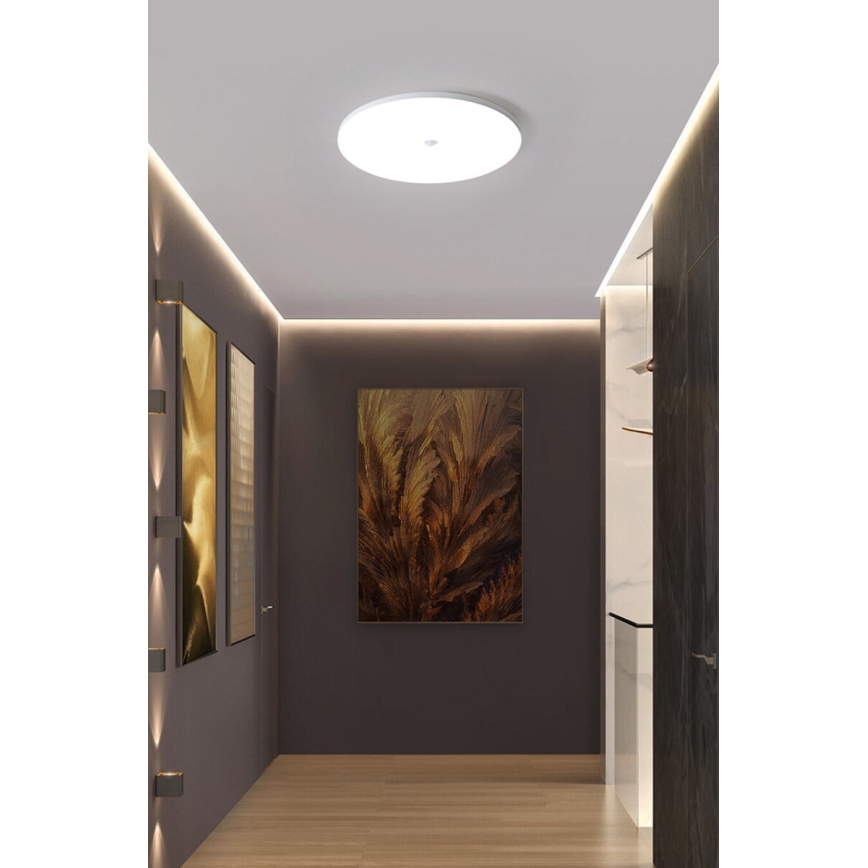 LED laelamp hämaruse- ja liikumisanduriga MORETTI LED/24W/230V läbimõõt 30 cm IP40 6500K