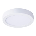 LED laelamp LED/12W/230V 3000/4000/6000K läbimõõt 17 cm valge